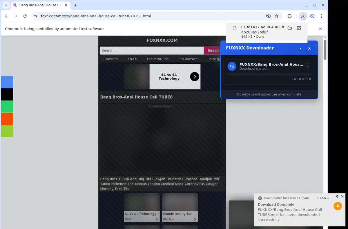 Fuxnxx Video Downloader screenshot 2